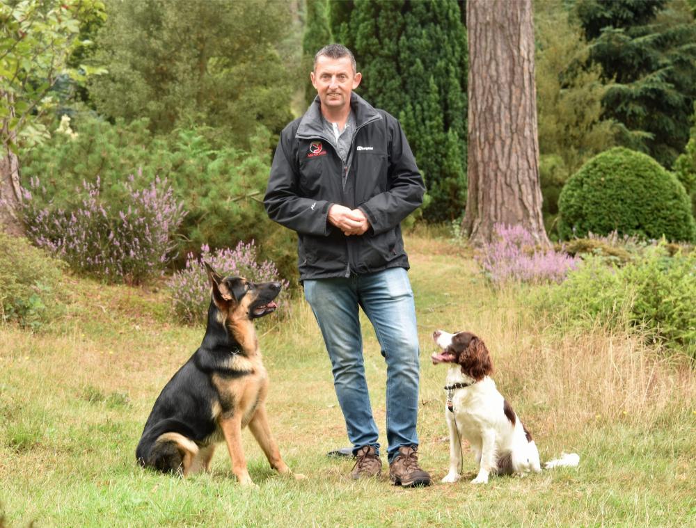 Man with two dogs in a garden